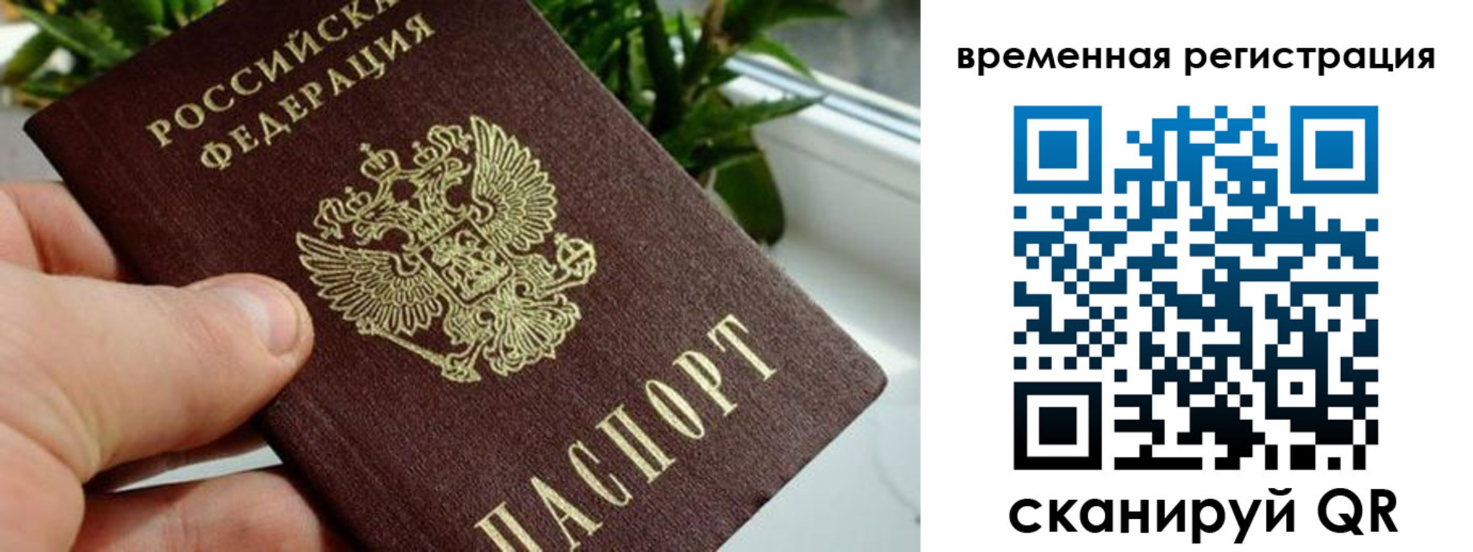прописка поиск в Калаче